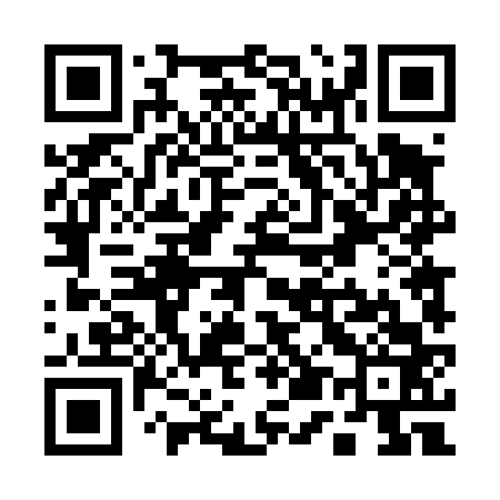 QR code for Q54463