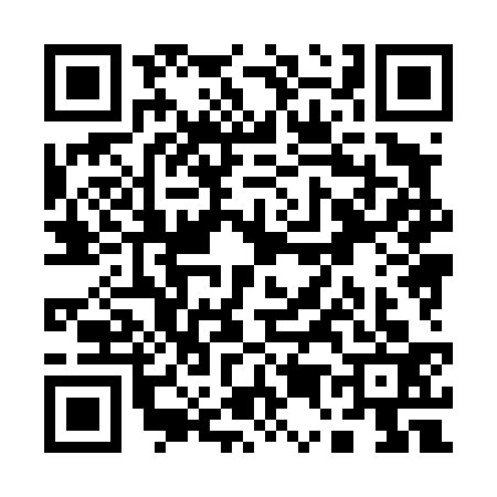 QR code for Q584333