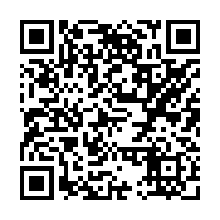 QR code for Q58838