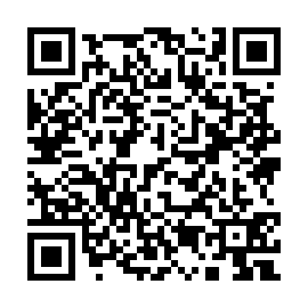 QR code for Q595319