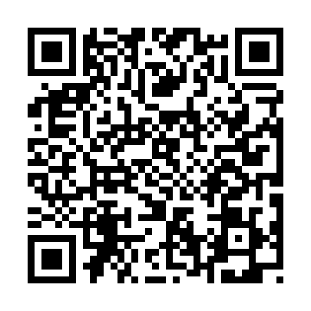 QR code for Q600297