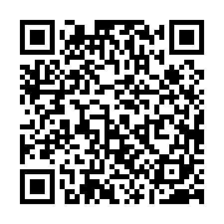 QR code for Q60161