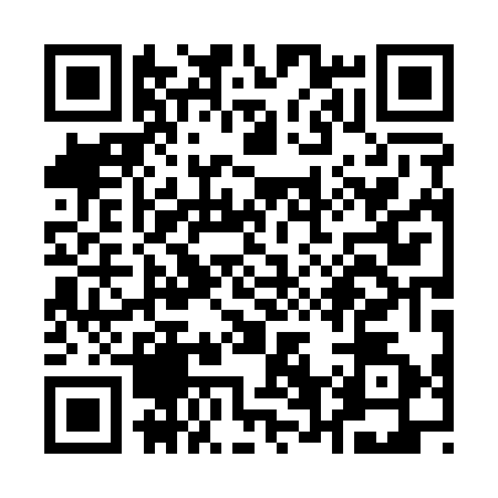 QR code for Q601729