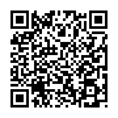 QR code for Q603744