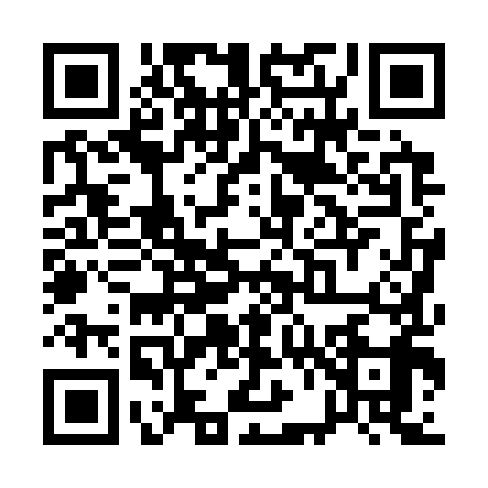QR code for Q603991