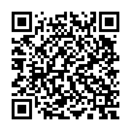 QR code for Q61463