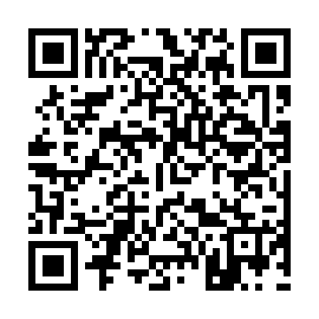 QR code for Q63125