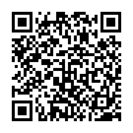 QR code for Q63233