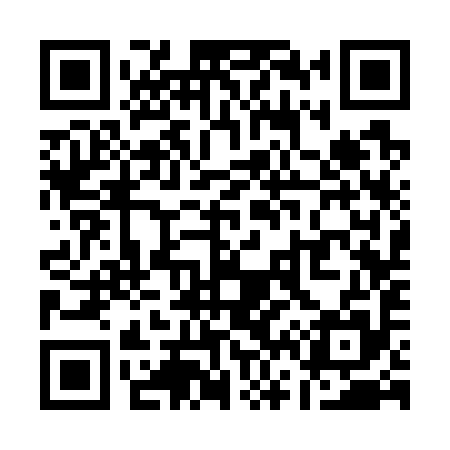 QR code for Q63795