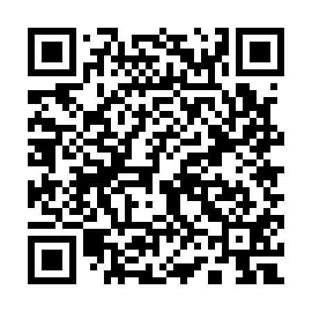 QR code for Q65111