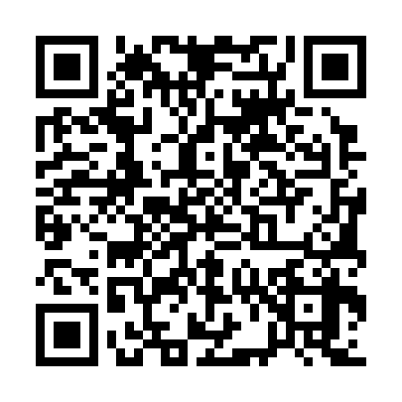 QR code for Q653382