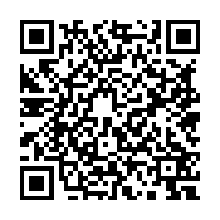 QR code for Q658238
