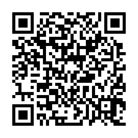 QR code for Q66307