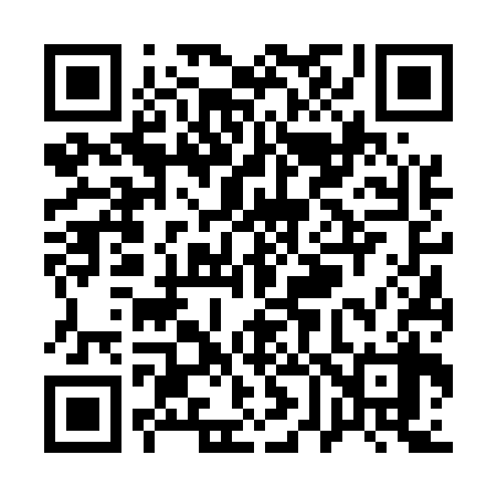 QR code for Q66538