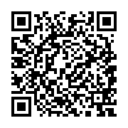 QR code for Q666990