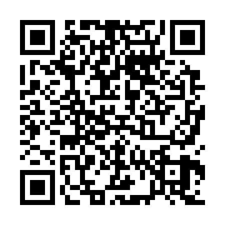 QR code for Q683290