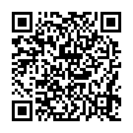 QR code for Q68377