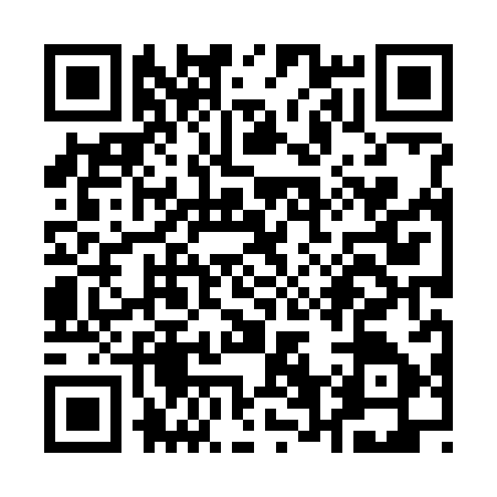 QR code for Q687873