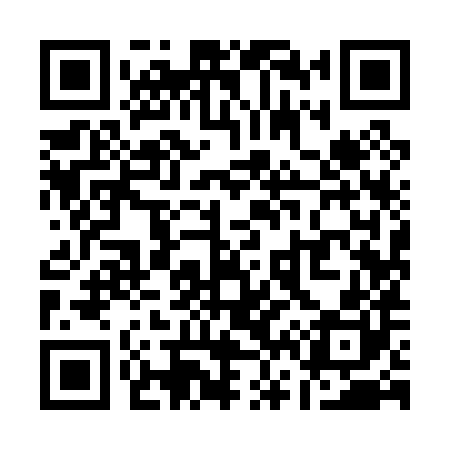 QR code for Q69080