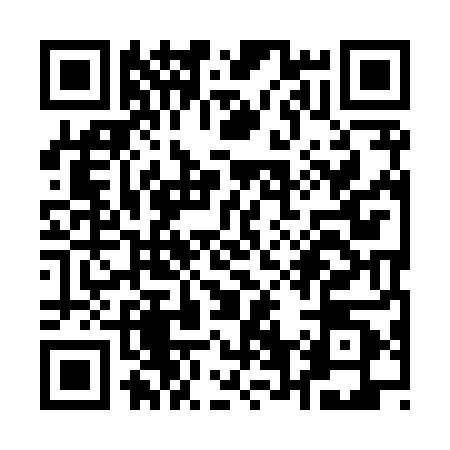QR code for Q698807