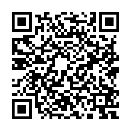 QR code for Q699038