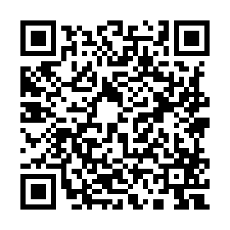 QR code for Q699874