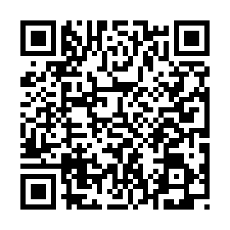 QR code for Q705264