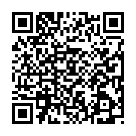 QR code for Q713971