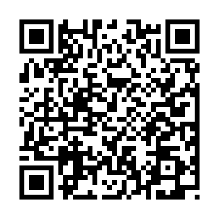 QR code for Q729905