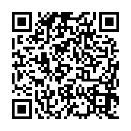QR code for Q729935