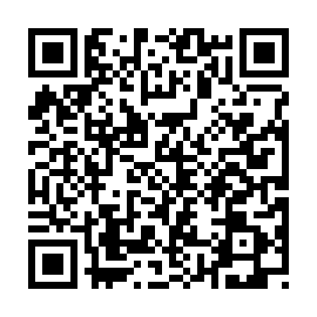 QR code for Q803811