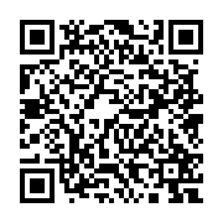 QR code for Q805279