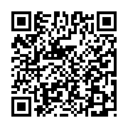 QR code for Q805719