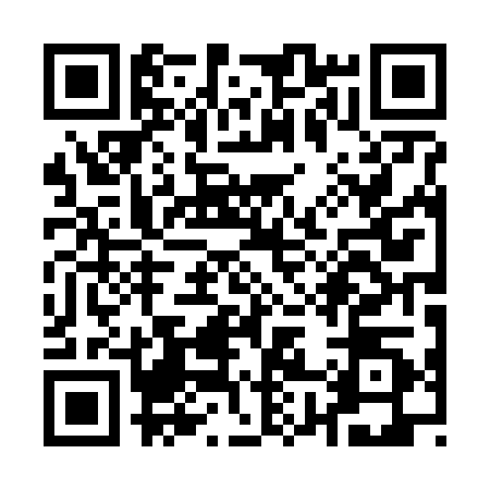 QR code for Q806205