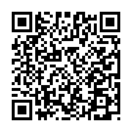QR code for Q809500