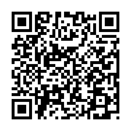 QR code for Q811020