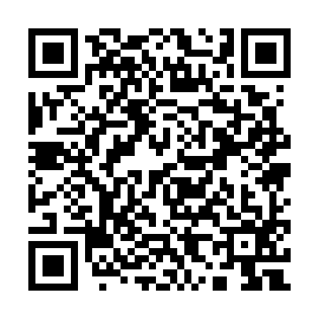 QR code for Q817963