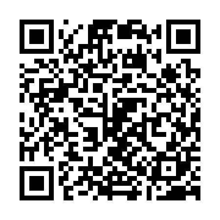 QR code for Q85300