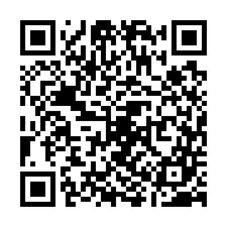QR code for Q85747