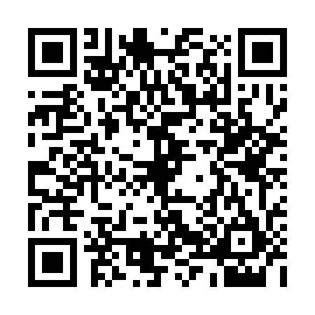 QR code for Q863751