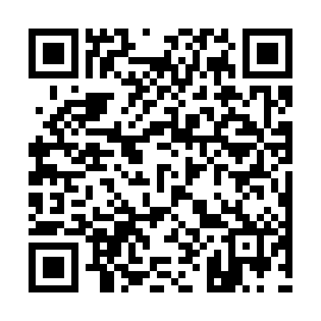 QR code for Q87382