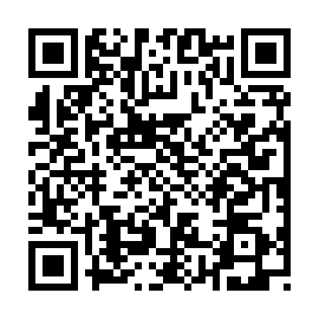 QR code for Q878702