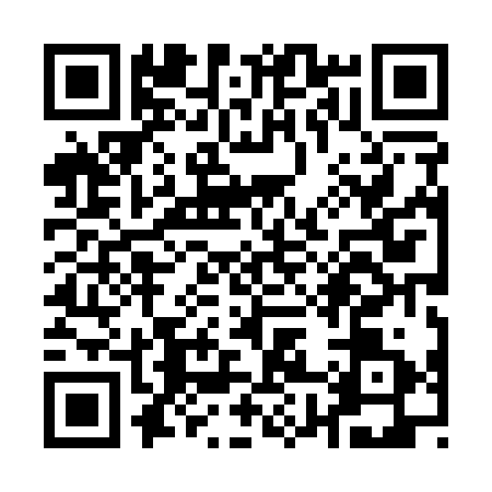 QR code for Q881315