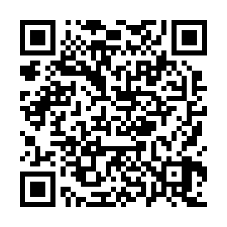 QR code for Q88228