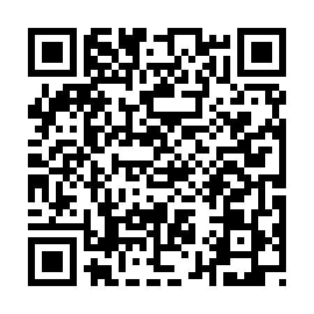 QR code for Q909491
