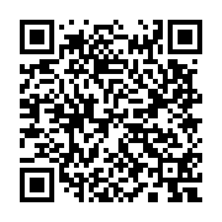 QR code for Q91510