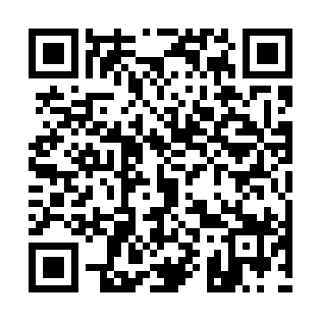 QR code for Q91599