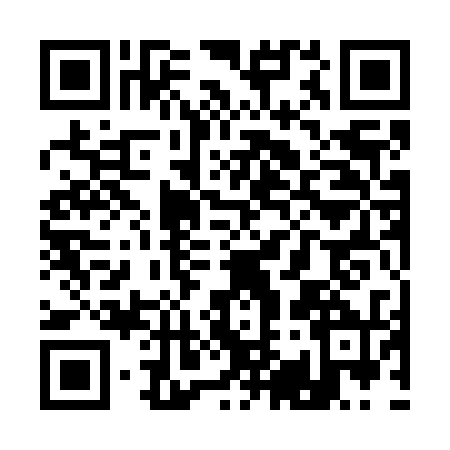 QR code for Q917300