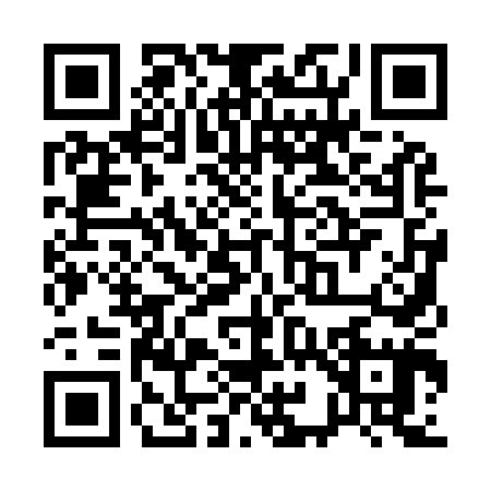 QR code for Q919458