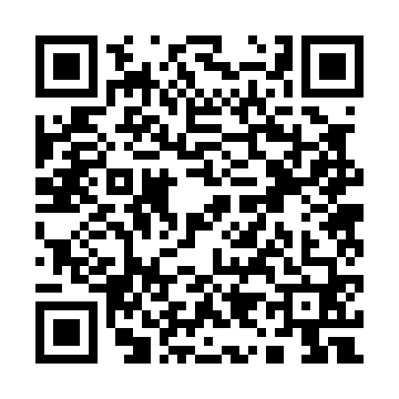 QR code for Q920608